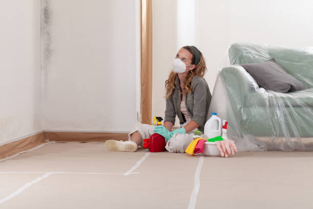 Reliable Basement Mold Remediation contractor in Conowingo, MD by WQB Mold Removal